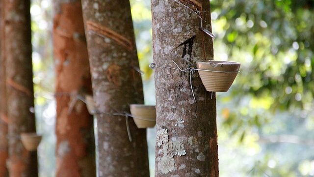 resin-gca8fea724_640